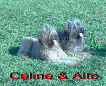 Celine&Alto